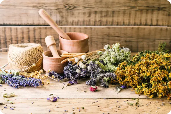 Flowers in basket