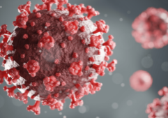Blog header photo for Physician Physician Wellness in America, depicting a Covid-19 virus particle.